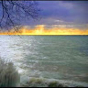 Meet your Posher, Holden